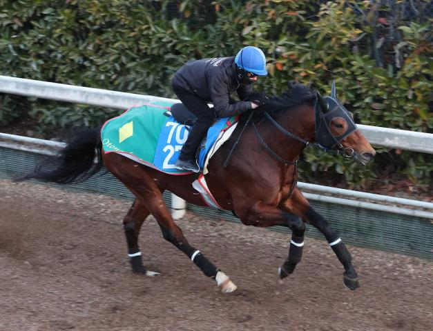 【盛岡競馬　マーキュリーカップ】サンデーファンデー　「一瞬の脚」で突き放す逃げでダートグレード3V
