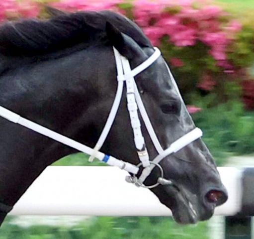 【マーキュリーC】武豊騎手騎乗のギュルヴィは3着　鞍上は19年以来の2勝目は逃す