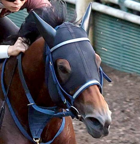【マーキュリーC】5番人気サンデーファンデーが逃げ切り勝ち　重賞3勝目　1番人気ムルソーが2着