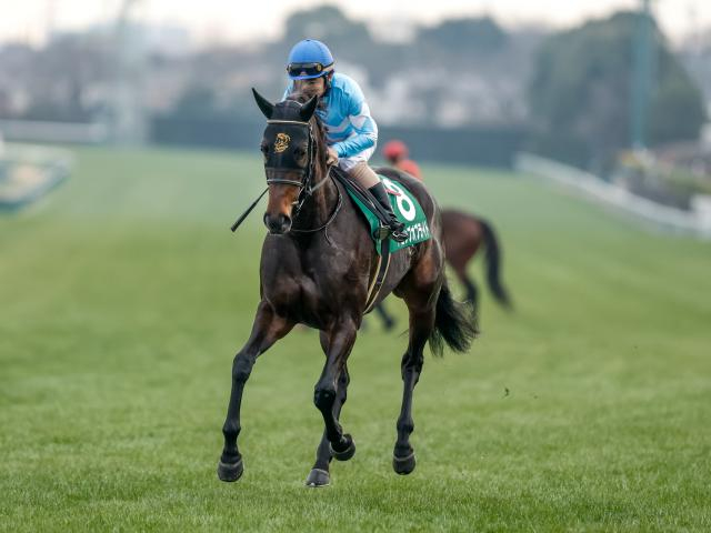 【関屋記念展望】データが後押しする牝馬ドロップオブライトが重賞3勝目を狙う