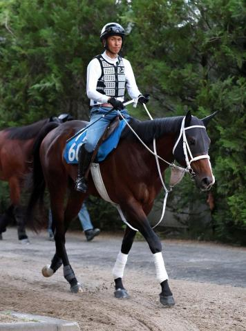 【東海S】ベルジュロネット　初重賞も臆せず　山口助手「馬がしっかりしてきた」