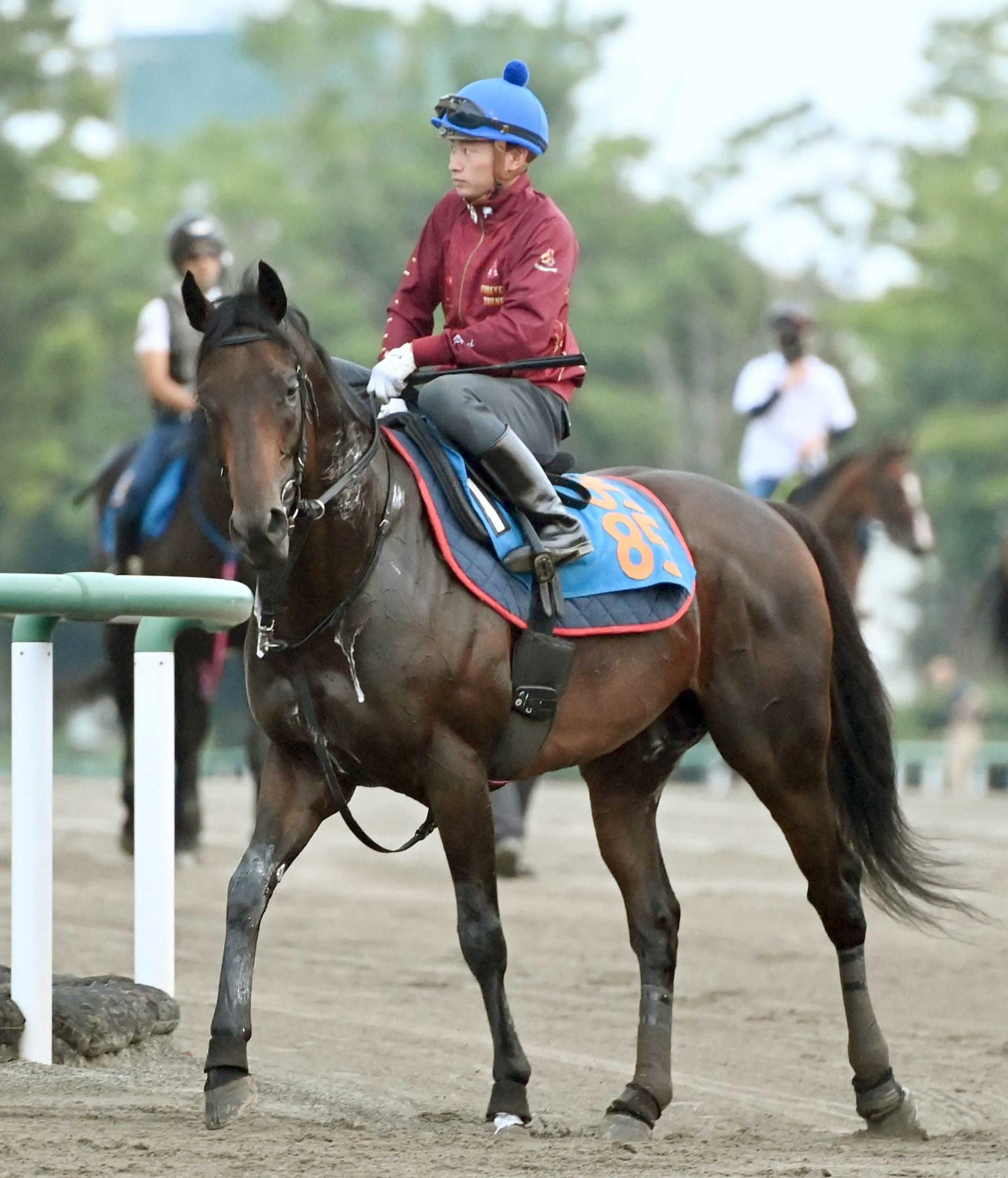 【関屋記念】アンパドゥ　素質開花をデータ後押し　昇級初戦で重賞初挑戦も出走予定馬で唯一の減点１