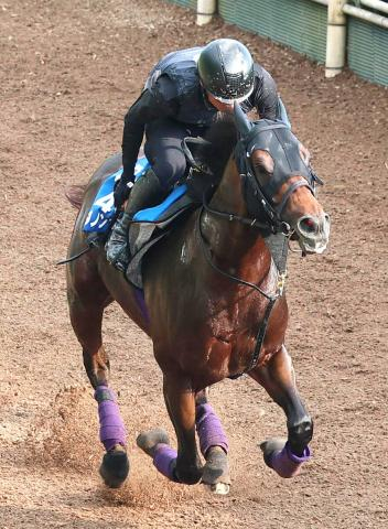 【東海S】勝てば開業25年目で7ハロン以下の重賞初勝利　名門・友道厩舎の「異色派」ダノンフィーゴが初タイトルへ絶好機