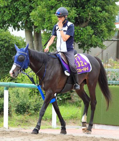 【キングジョージ】世界NO1カランダガンと英国で再戦　マスカレードボールがジャパンC2着の雪辱へ
