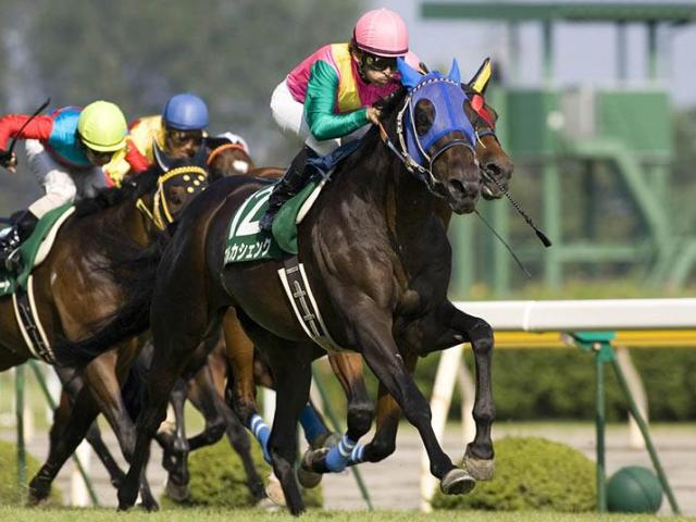 河内洋調教師がSS産駒で重賞初制覇 08年関屋記念をプレイバック