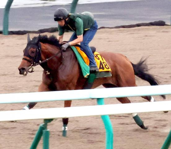 【クイーンS】昨年2着のココナッツブラウンは札幌ダートで小気味よい脚取り　陣営「舞台は一番合っている」