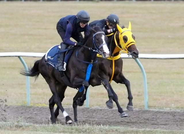 【キングジョージ】「今日は自分から前に前に」マスカレードボールは英国でも好仕上がり　手塚貴久調教師「いい動きができた」