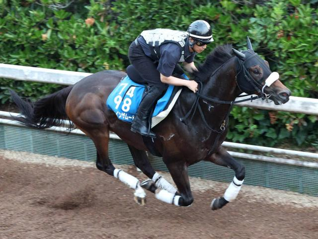 【東海S】ドンインザムードが重賞2勝目へいいムード　今野調教師「ちょうどいい追い切りができました」