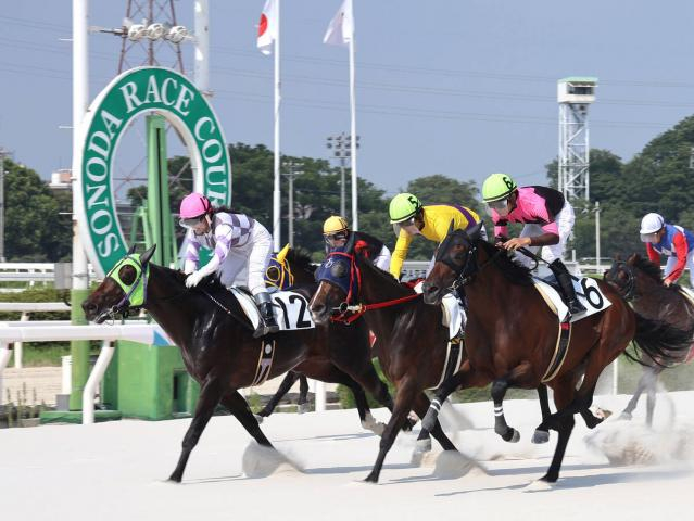 園田9Rで3連単1239万4160円　佐々木世麗騎手がVで兵庫競馬史上最高配当を演出　9→12→4番人気の決着で的中1票