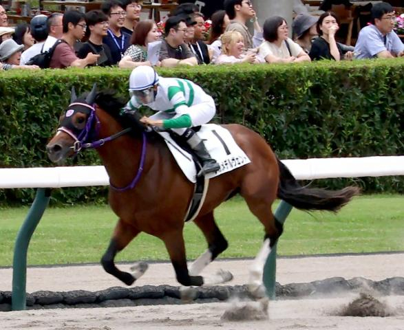 【札幌5R・2歳新馬】レガメデルヴェントが大差での衝撃デビューV　横山和生騎手「何でも出来そうだと思っていた」