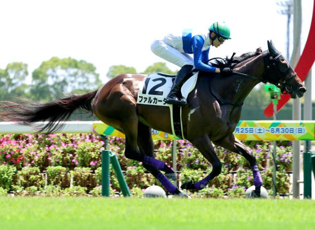 遅れてきた良血牝馬の未勝利戦圧勝にSNS「他馬とはスピードの違いで…」　ファルカータが中京で初勝利
