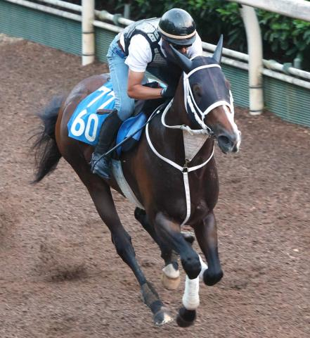 【東海S・土曜気配】前走完勝のベルジュロネットは坂路でパワフル　陣営「重賞でも楽しみの方が大きい」