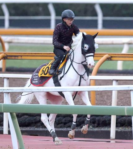 【26日の注目・中京9R】白毛のゴージャスが復活なるか　鞍上の田山旺佑騎手に期待