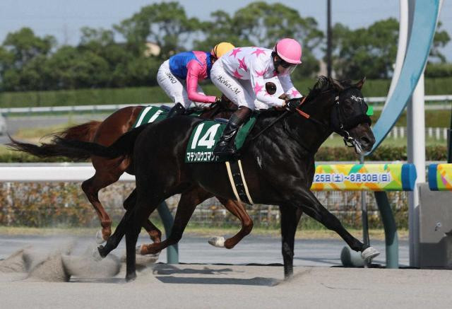 【東海S】マテンロウコマンド　前残り決着制す　全6勝ダート千四!!得意舞台で重賞連勝