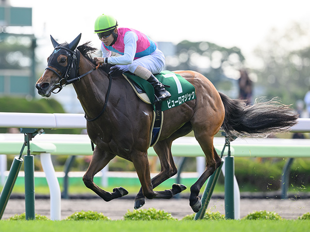 クイーンSとアイビスSDの2重賞/今週の競馬界の見どころ