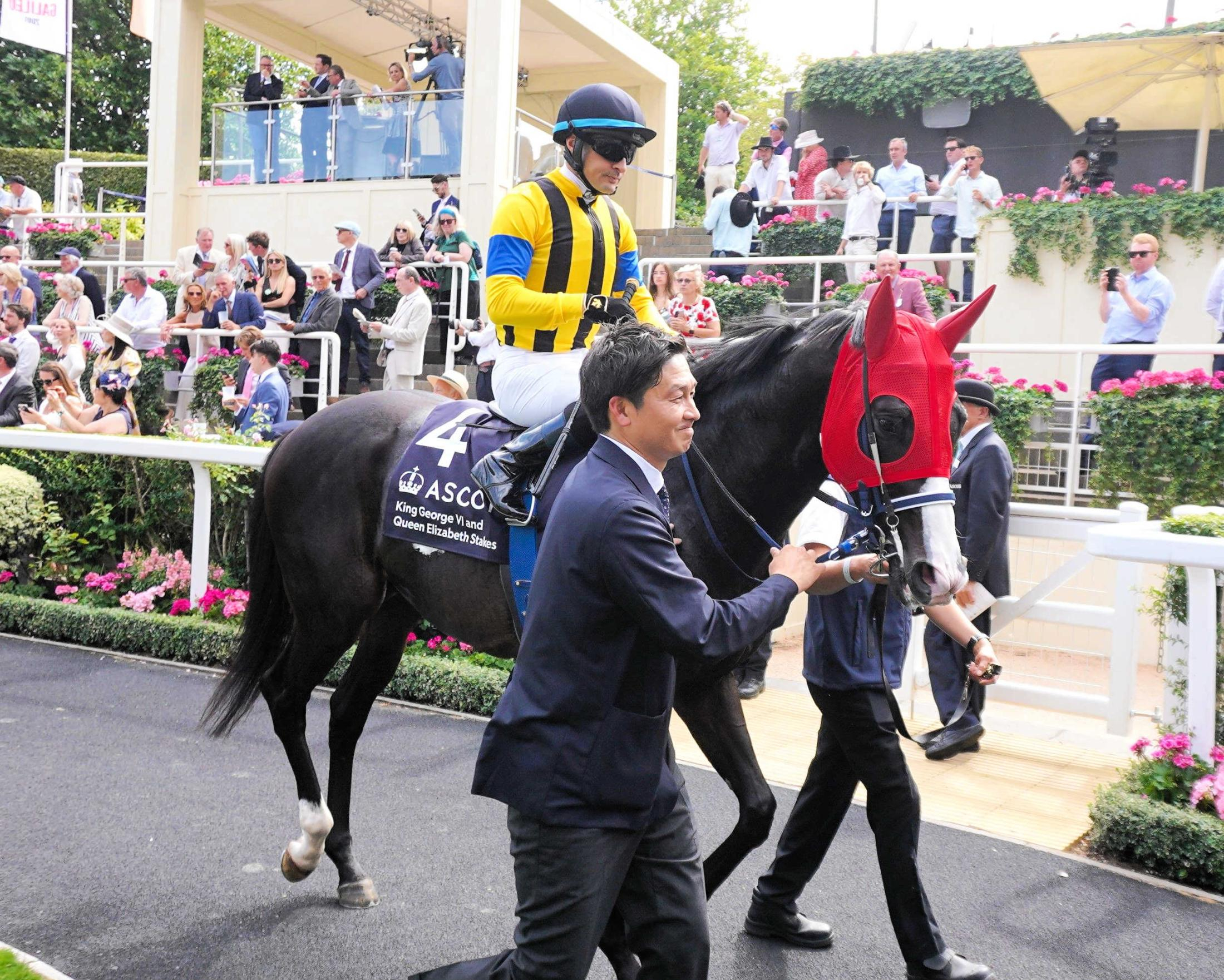 【Ｋジョージ】マスカレードボールは７着、ヴェルテンベルクは９着　地元５歳牝馬カルパナがＶ