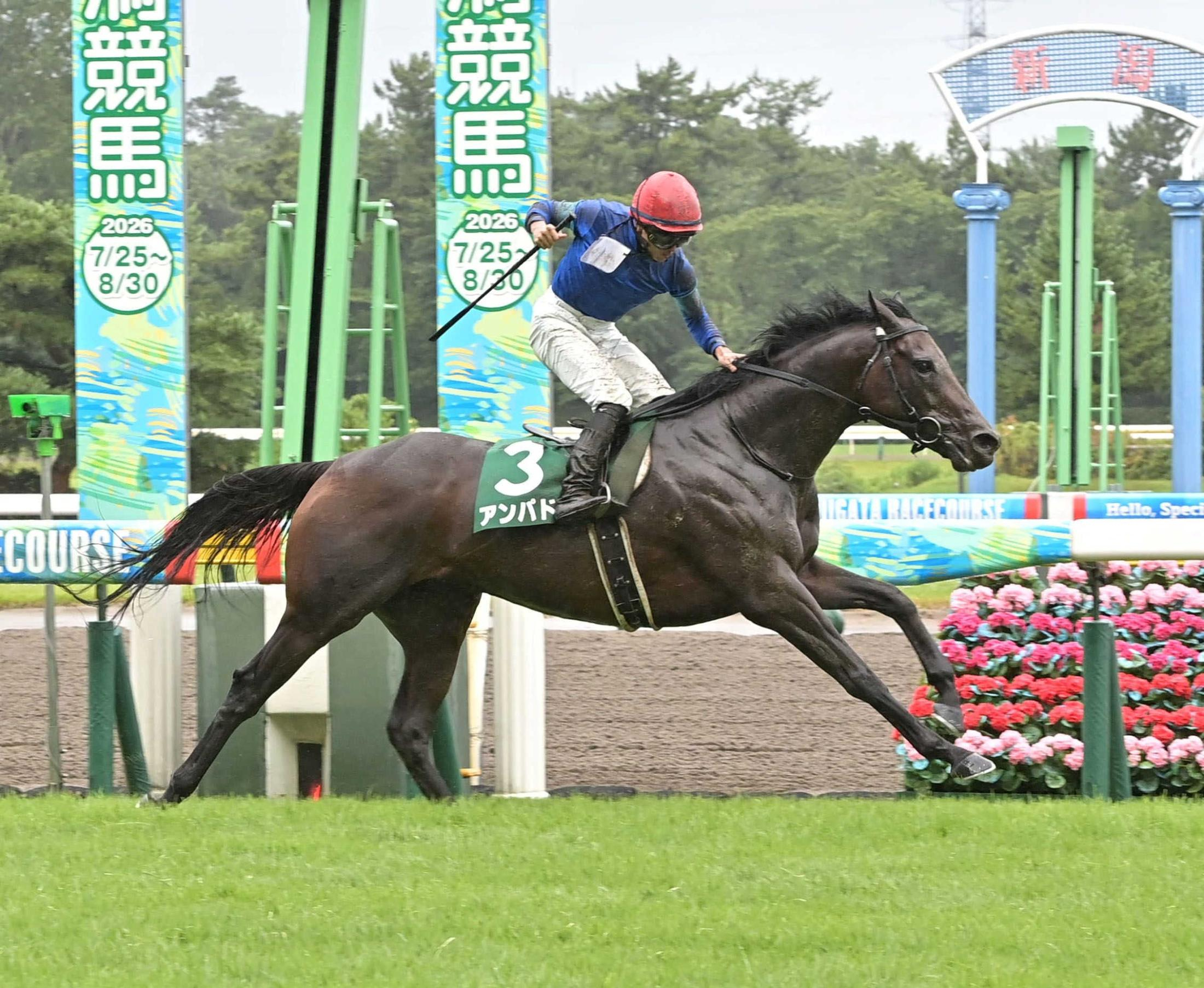 【関屋記念】アンパドゥ　極悪馬場なんの！雨中のハンデ戦制して５馬身差重賞初Ｖ　群雄割拠マイル界に新星