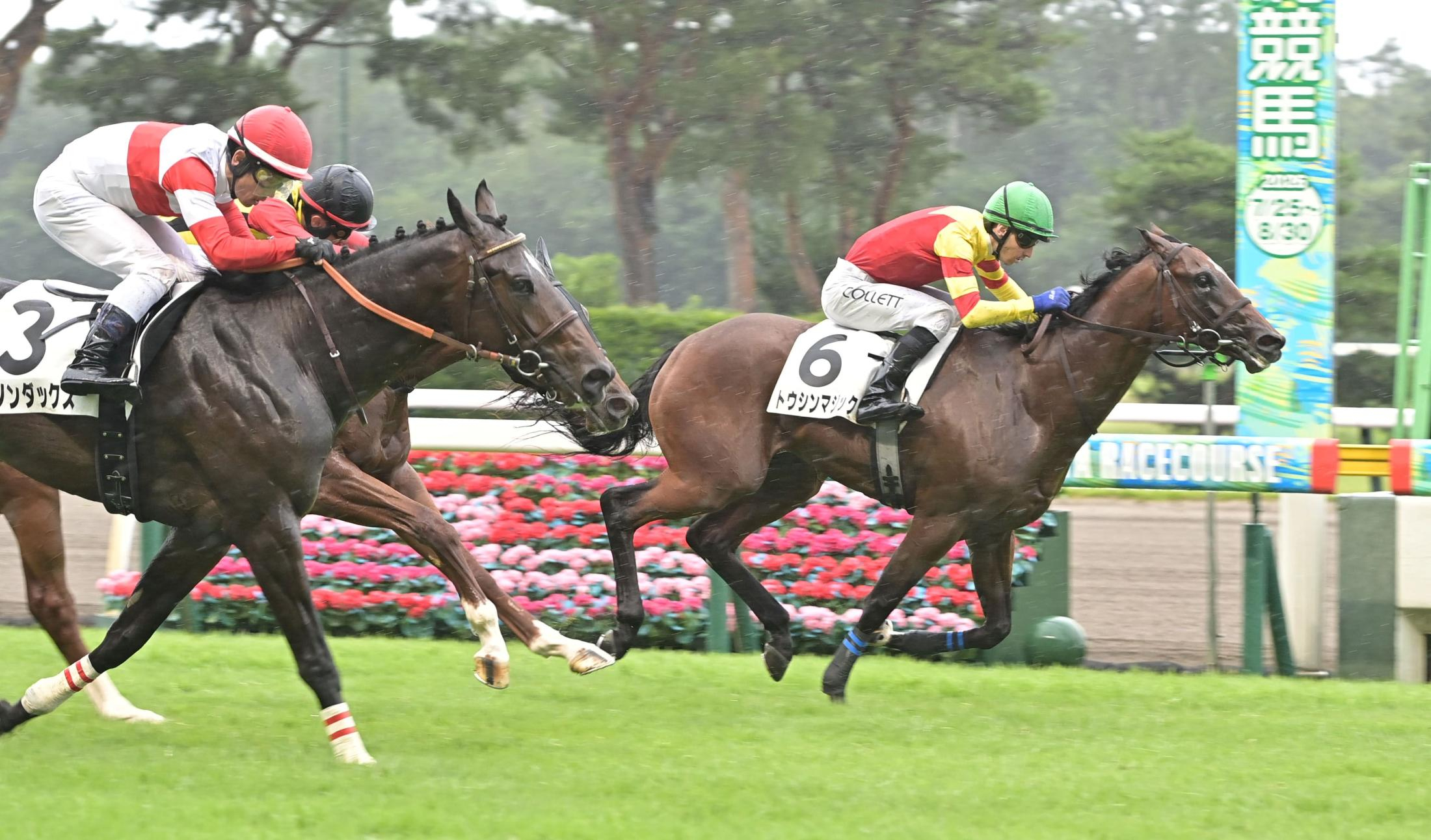 【新馬戦】トウシンマジック　断然１番人気のダノンダックス撃破　コレット「すごくいい脚、いい走り」