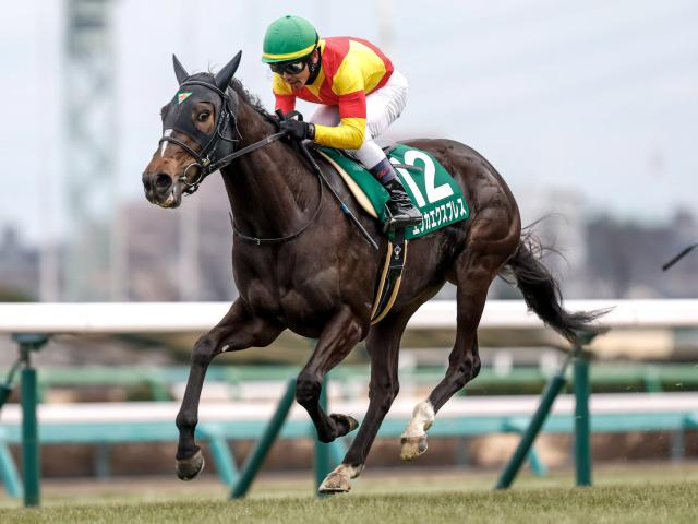 【クイーンS展望】実績馬エリカエクスプレスが久々の重賞制覇へ