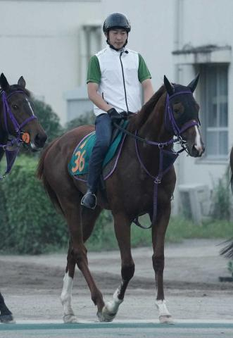 【新潟新馬戦】マイネルリシャール　美しい栗毛の馬体　三白流星の貴公子に鹿戸師「素晴らしい」