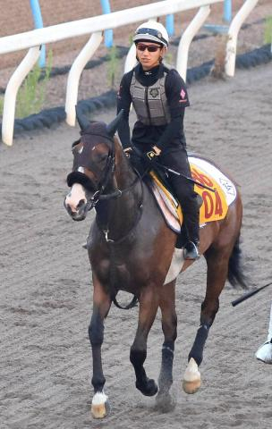 【アイビスSD】“千直”マスターの菊沢一樹騎手が25回目のコンビ・エコロレジーナと重賞初勝利へ一直線