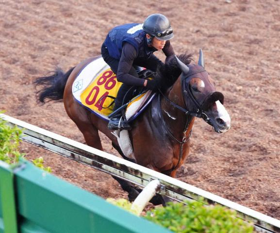 【アイビスSD】エコロレジーナ　余力十分伸びた!菊沢師「動きはいい」