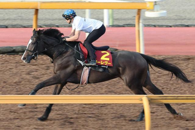 【クイーンS】ヴーレヴー　芝単走スムーズ　馬なり5F69秒0〜1F12秒2