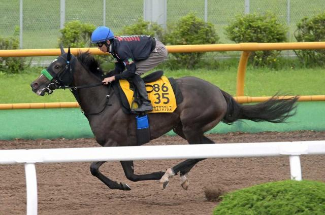 【クイーンS】エリカエクスプレス完璧リハ　心身ともに成熟期に突入