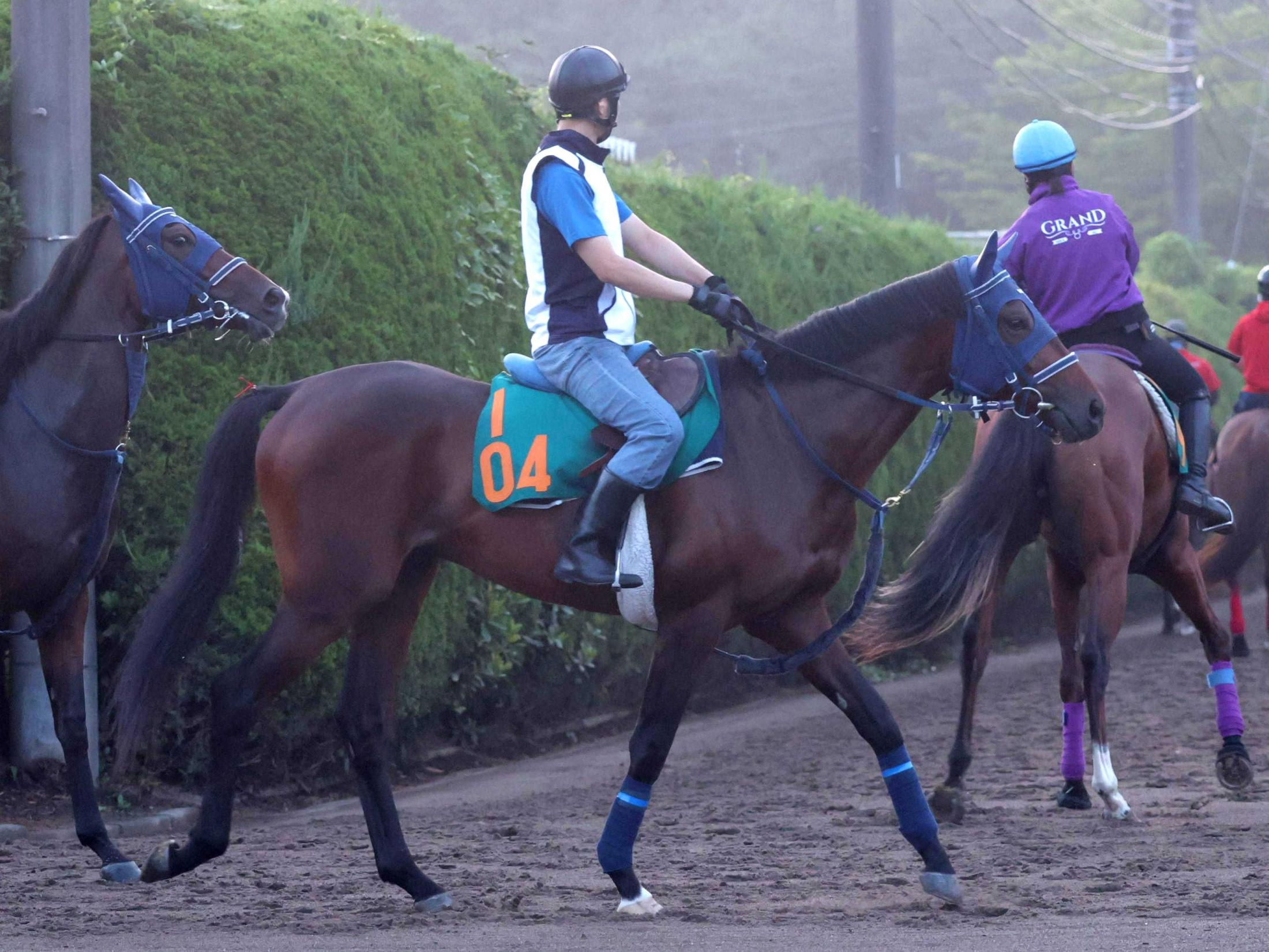 【新馬戦】シェーンリヒト　好調エフフォーリア産駒の良血馬が初陣Ｖへ　津村「追えば追うほど伸びそうです」