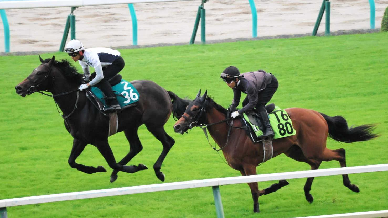 【新馬戦】スワッグウォーク　セレクトセールで２億５０００万円の高額馬が武豊背にデビュー　武幸師「能力は感じます」