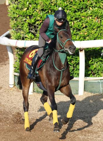 【1日の注目・新潟8R】オークス4着のリアライズルミナス　秋華賞目指して自己条件の1勝クラスに登場