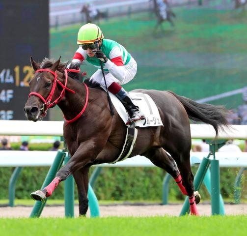 【札幌5R・2歳新馬】シスキン産駒でワンツー!　ブルージェイが2馬身半差で逃げ切り　鮫島克駿騎手「素晴らしい馬」