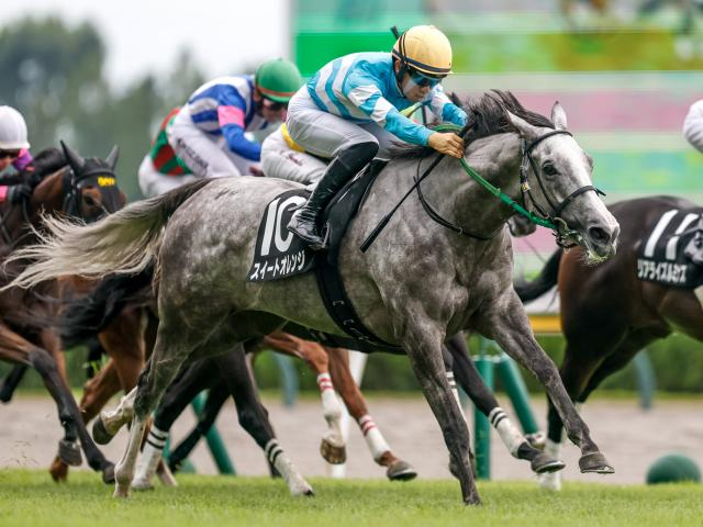 【燕特別レース後コメント】スイートオレンジ荻野極騎手ら