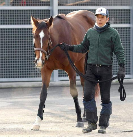 【2日の注目・中京12R】名牝ジェンティルドンナを母に持つ良血馬が初勝利へ　6か月ぶりも距離短縮で仕切り直し
