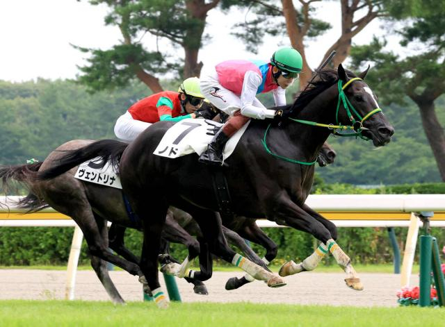 【新潟1R】ノドゥスが初戦12着から一変の初V　三浦皇成騎手「エンジンがかかったところがゴールでした」