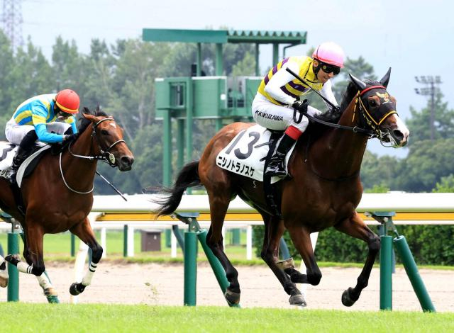 【新潟3R】ニシノトラノスケが千葉厩舎ゆかりの血統、馬主の組み合わせで初陣V　「兄よりも上に行けるように」