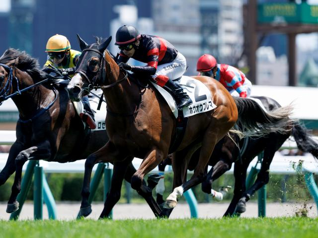 【メイクデビュー札幌5Rレース後コメント】ホウオウプレマ池添謙一騎手ら