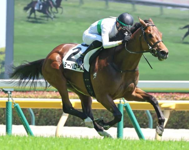 驚異の末脚で差し切った3歳馬に衝撃走る「鳥肌立った」「噂には聞いてた」　中京6Rで3勝目を挙げたトミーバローズ