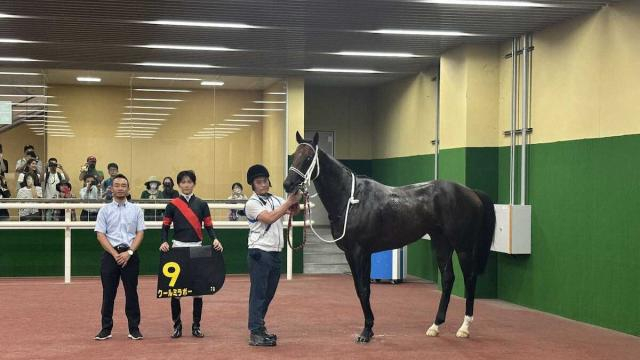 【名鉄杯】クールミラボー　3馬身半差の圧勝　寺島師「しっかり収まりも利いていた」