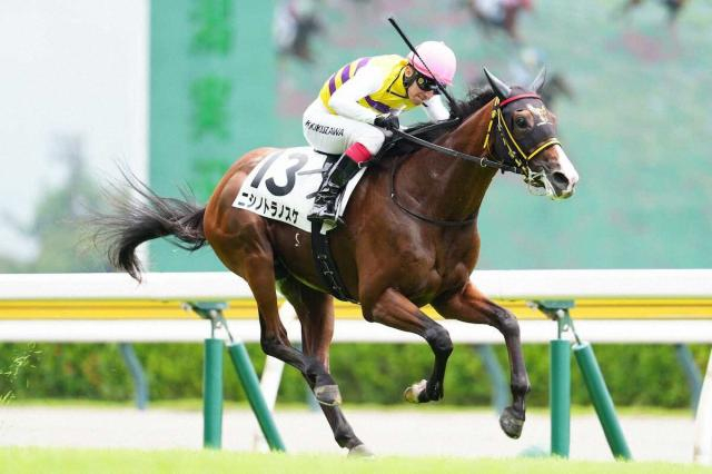 【新潟新馬戦】ニシノトラノスケ　4角押し切った　菊沢「勝ち切れて良かった」