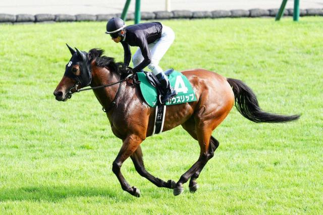 【アイビスSD】カウスリップ3着　10番人気粘った　津村「今日は勝ち馬が強かった」