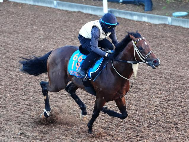 【CBC賞】インビンシブルパパ　劇的復活だ!　主役不在のハンデ戦で馬券的な妙味もたっぷり