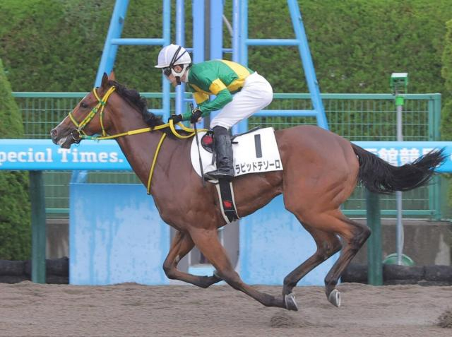【ダリア賞・坂本の特注馬】芝替わり&距離延長で挑むラピッドテソーロに妙味あり　陣営は前向きな挑戦を強調