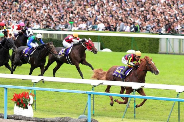 “しまむらの競走馬グッズ”が早くも第2弾を発売!6月発売時は一瞬で完売→今回は受注生産で秋・冬物など