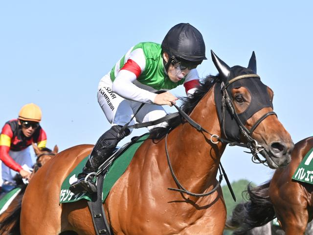 【有力馬動向】抜群の切れ味を発揮！ グランディアは重賞連覇へ順調/馬三郎のつぶやき