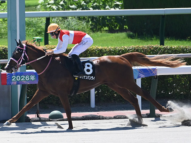 【レパードS】セレクト2億円のショウナンバンライ 史上最高額のJRAダート重賞勝ち馬になるか