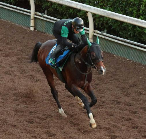 【CBC賞】レイピア　しっかり好時計4F51秒9　三渕助手「荒れた馬場でもしっかり動けた」