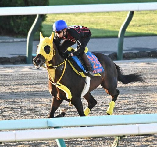 【エルムS】ヴァルツァーシャル順調　札幌ダートで馬なり1F12秒2「反応良かった」
