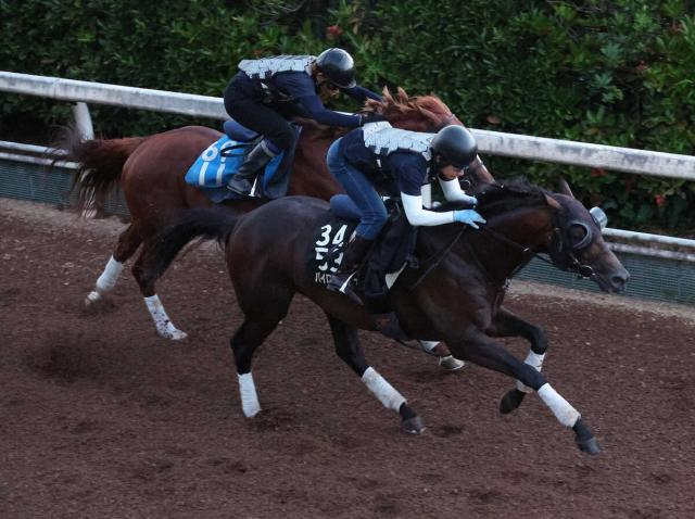 【レパードS】パイロマンサー　力強さUP!　坂路1馬身半追走も1馬身先着「順調に来られた」