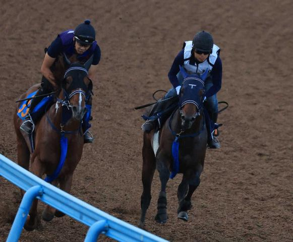 【レパードS】マクリール　稽古には合格点も…手塚久師「相手も強いので胸を借りるつもり」